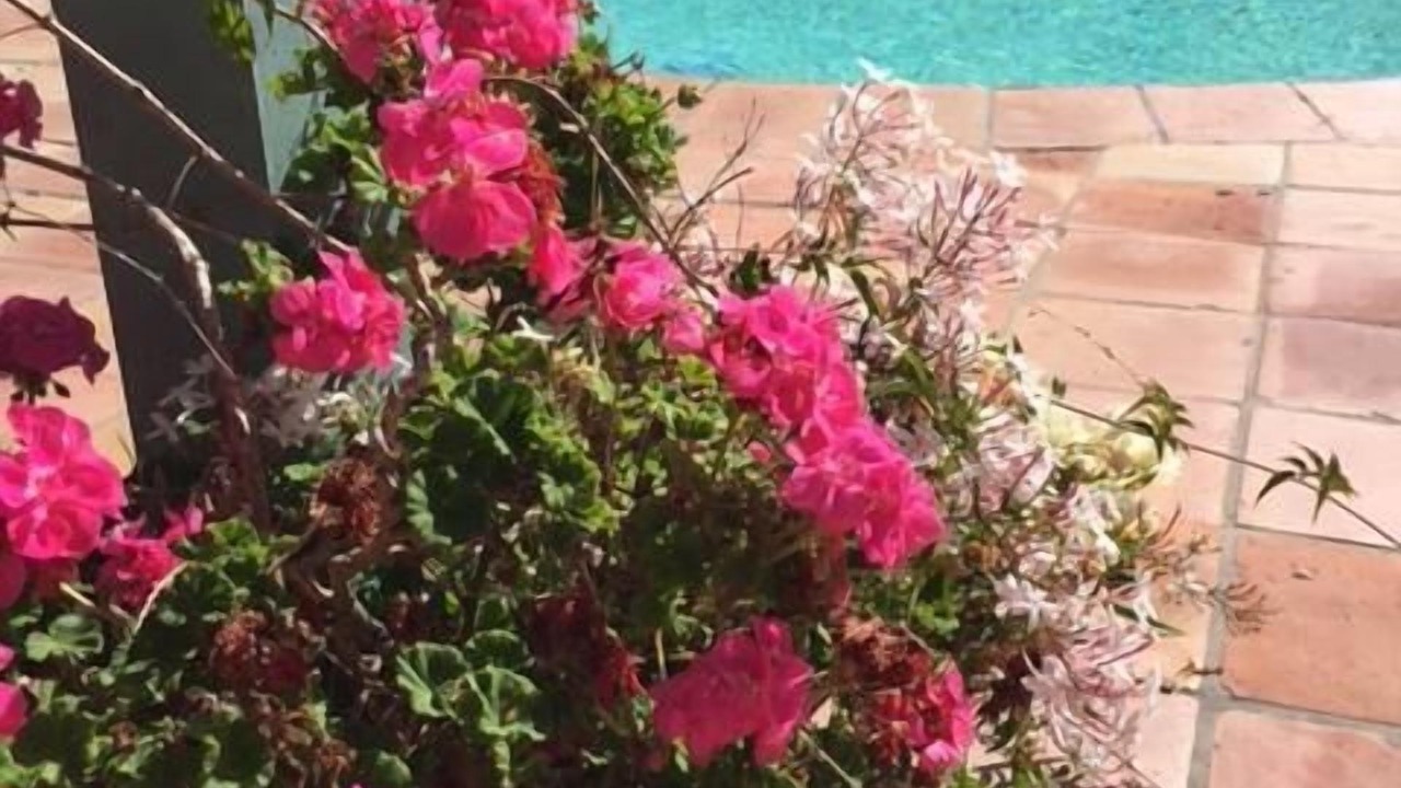 Photo of Outdoor in West Mesa