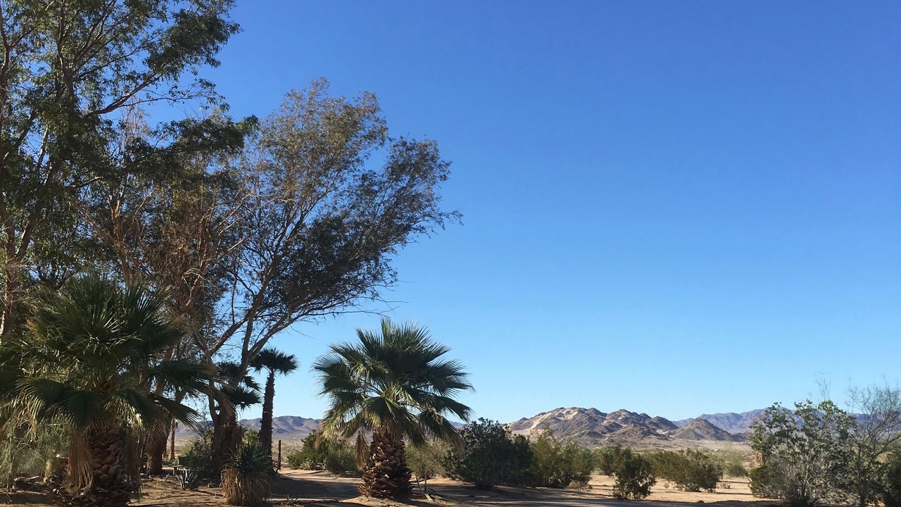 Photo of Others in Wonder Valley