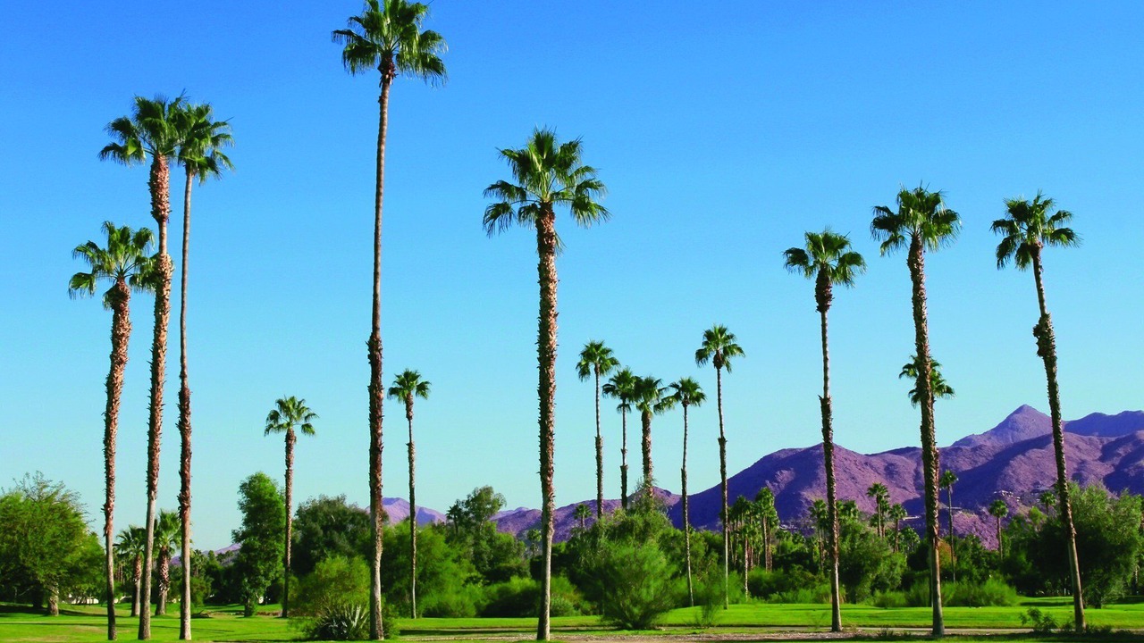 Photo of Others in Palm Springs