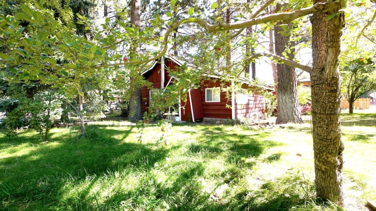 Photo of Outdoor in Peter Pan