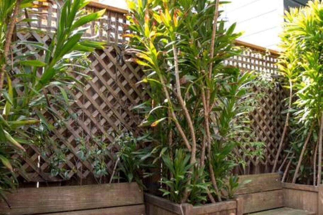 Photo of Patio Balcony in Mission District