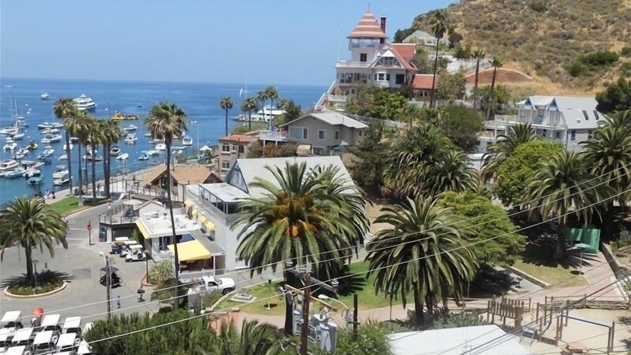 Photo of Others in Avalon