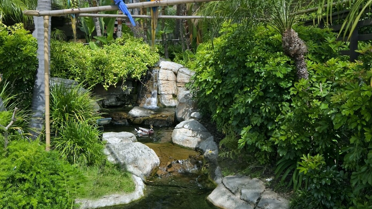 Photo of Outdoor in La Playa