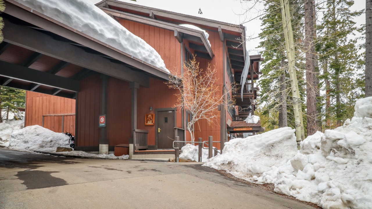 Photo of Outdoor in Tahoe Woods