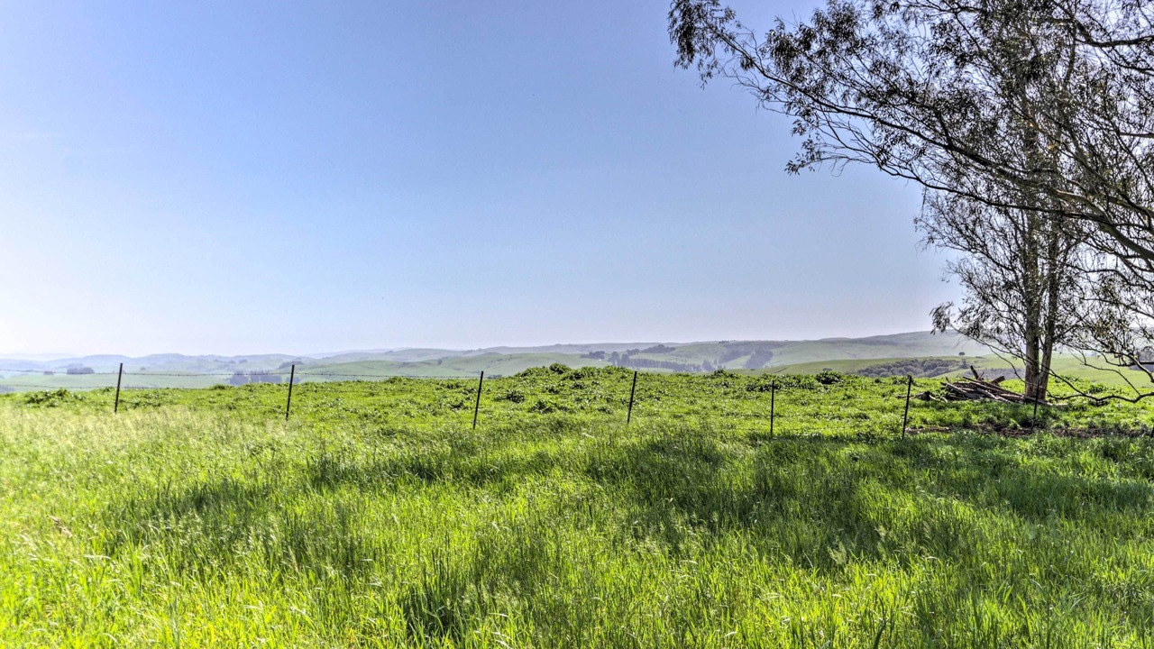 Photo of Outdoor in Freestone