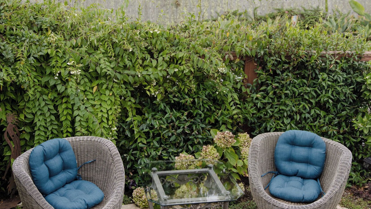 Photo of Outdoor in Summerland