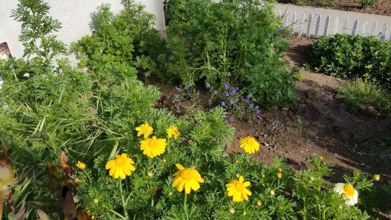 Photo of Outdoor in Grover Beach