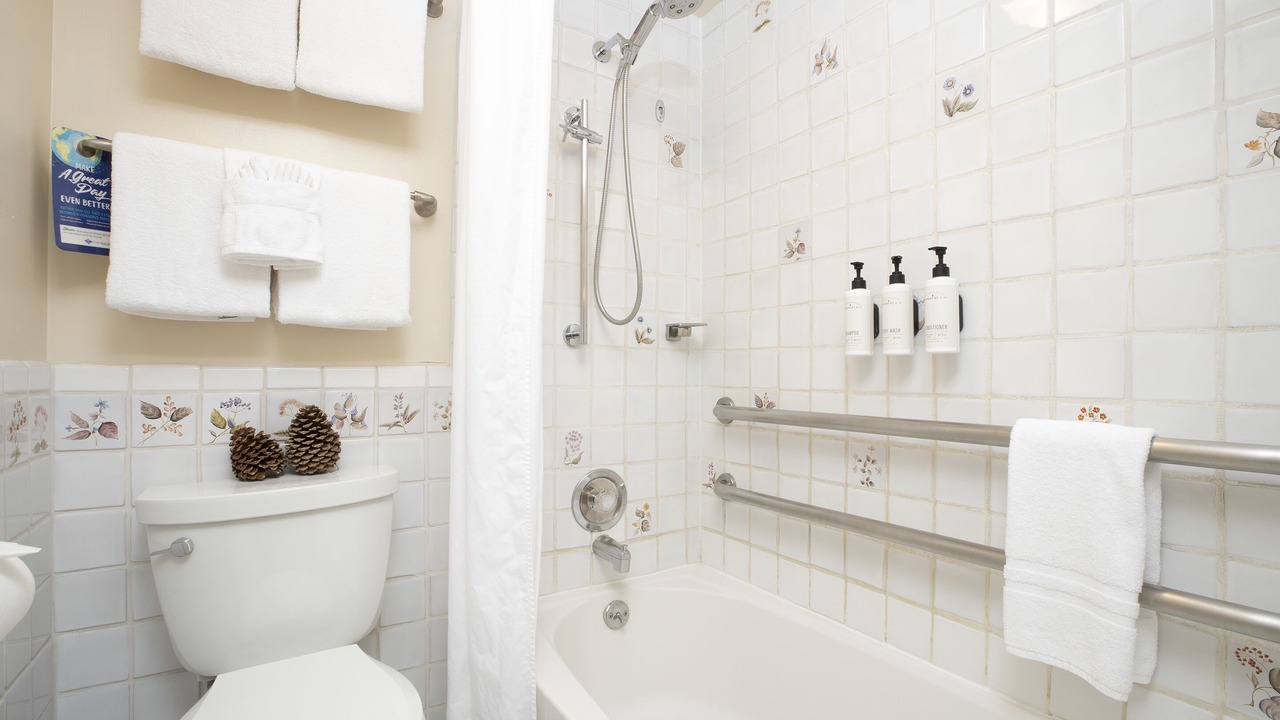 Photo of Bathroom in Olympic Valley