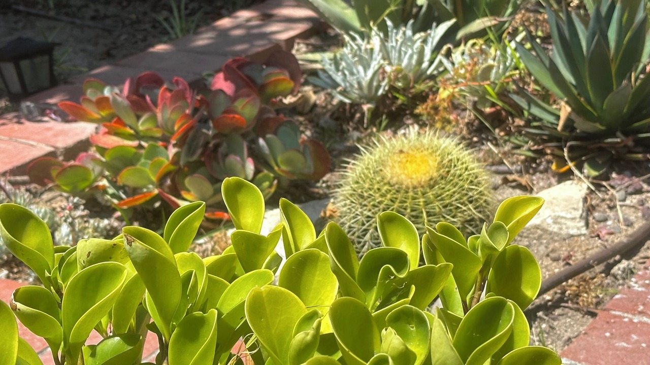 Photo of Outdoor in Huntington Beach