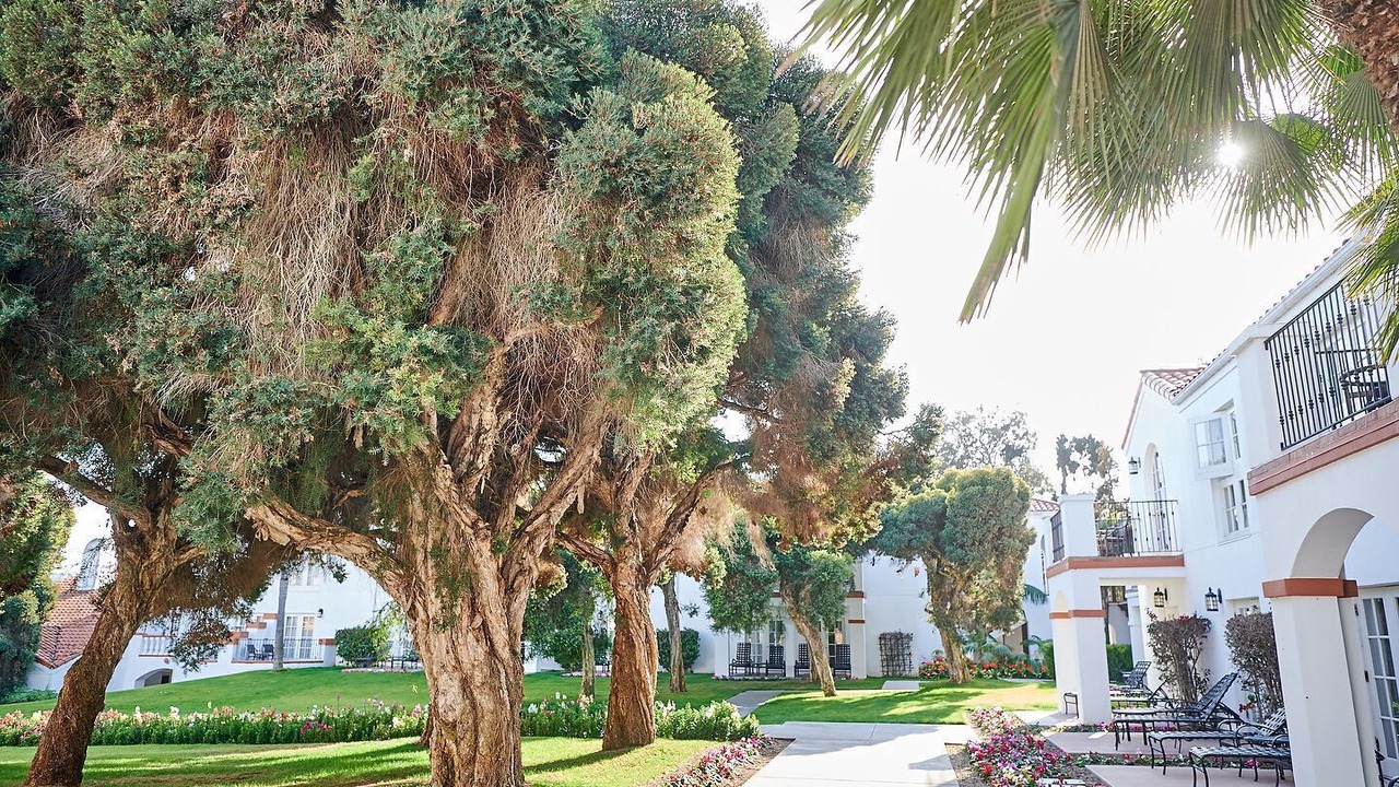 Photo of Others in Carlsbad