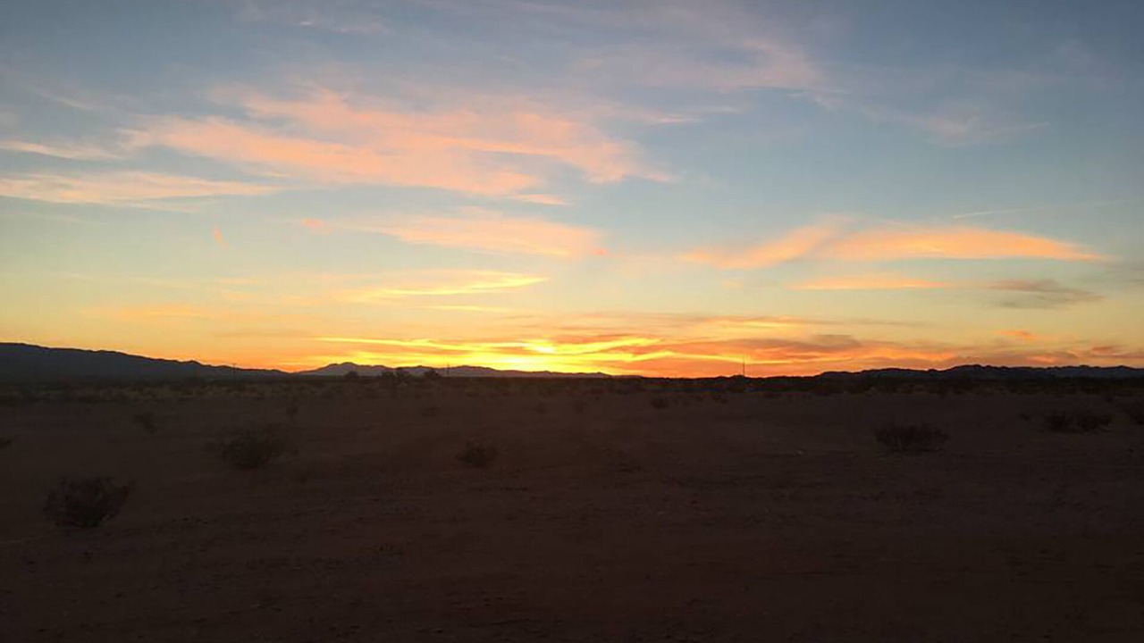 Photo of Others in Wonder Valley