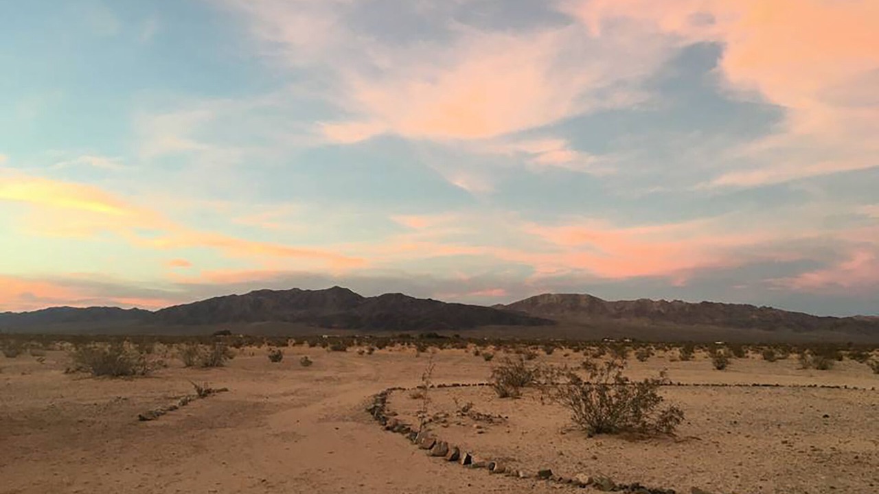 Photo of Others in Wonder Valley