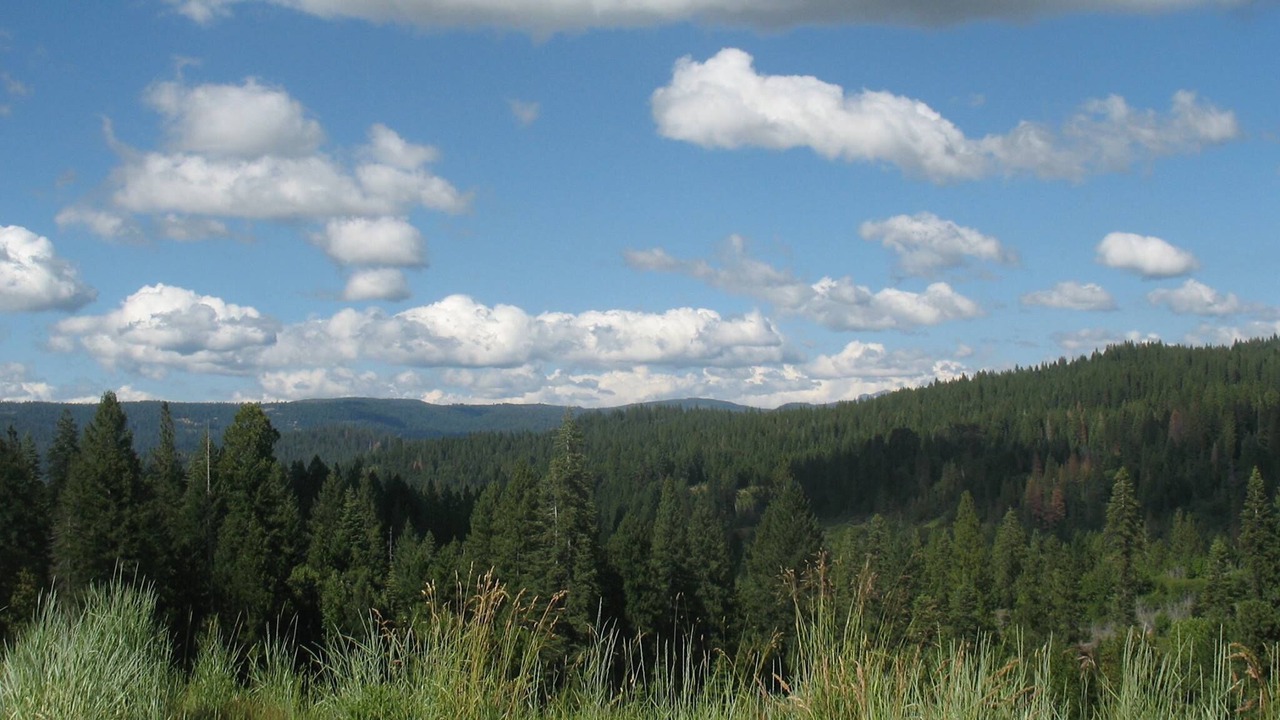 Photo of Outdoor in Nevada City