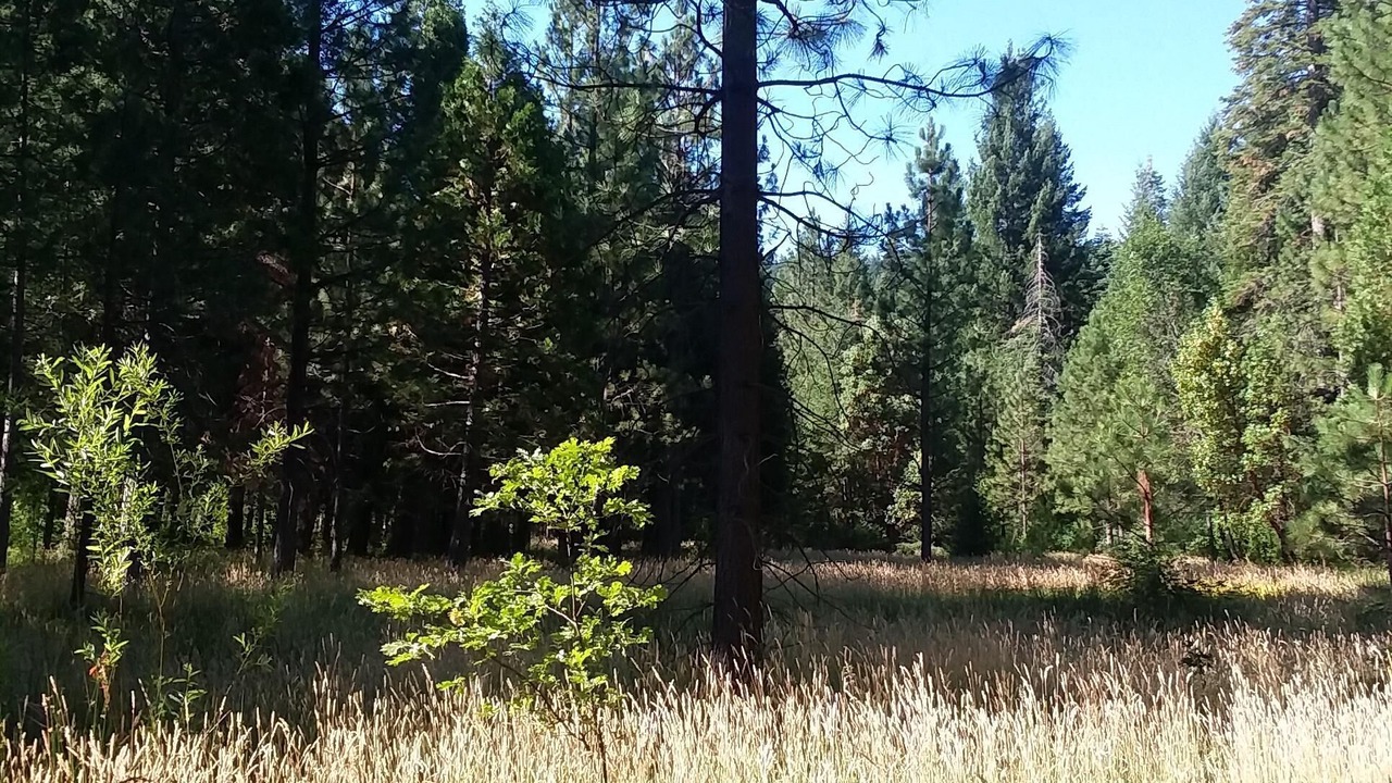 Photo of Outdoor in Nevada City
