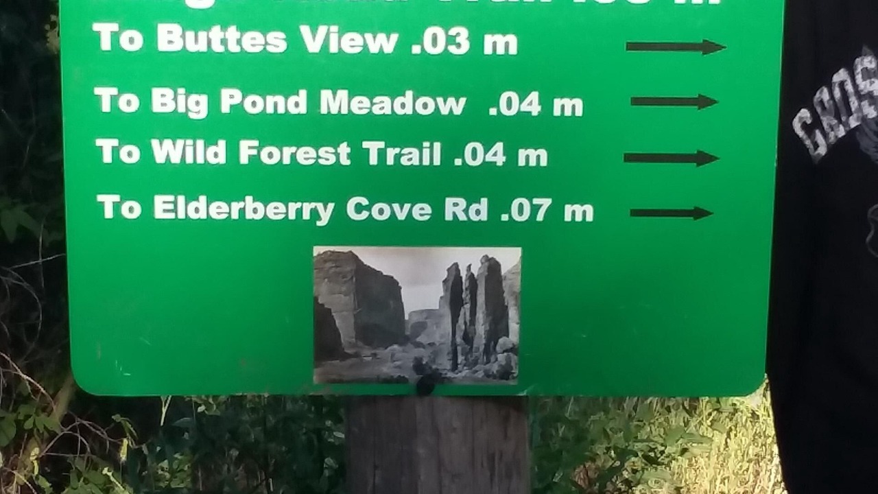 Photo of Outdoor in Nevada City