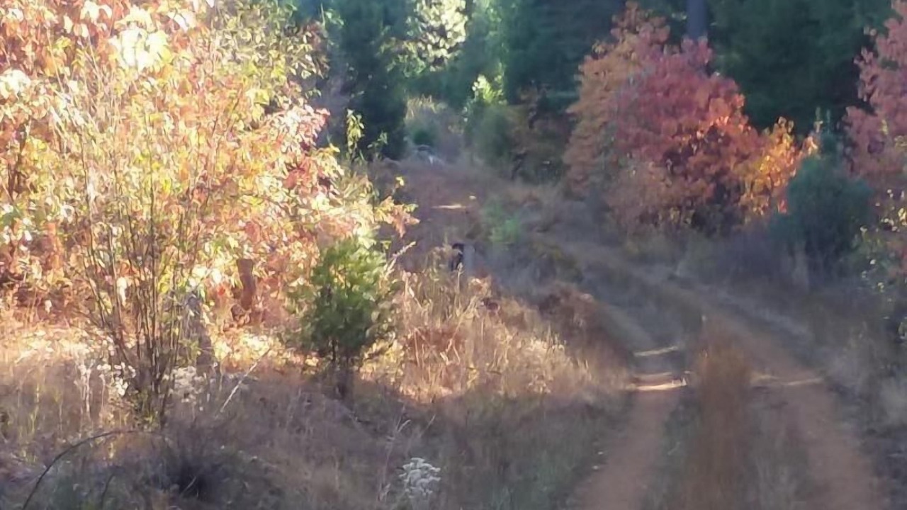 Photo of Outdoor in Nevada City