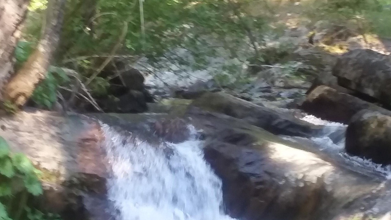 Photo of Outdoor in Nevada City