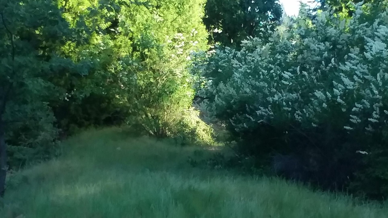 Photo of Outdoor in Nevada City