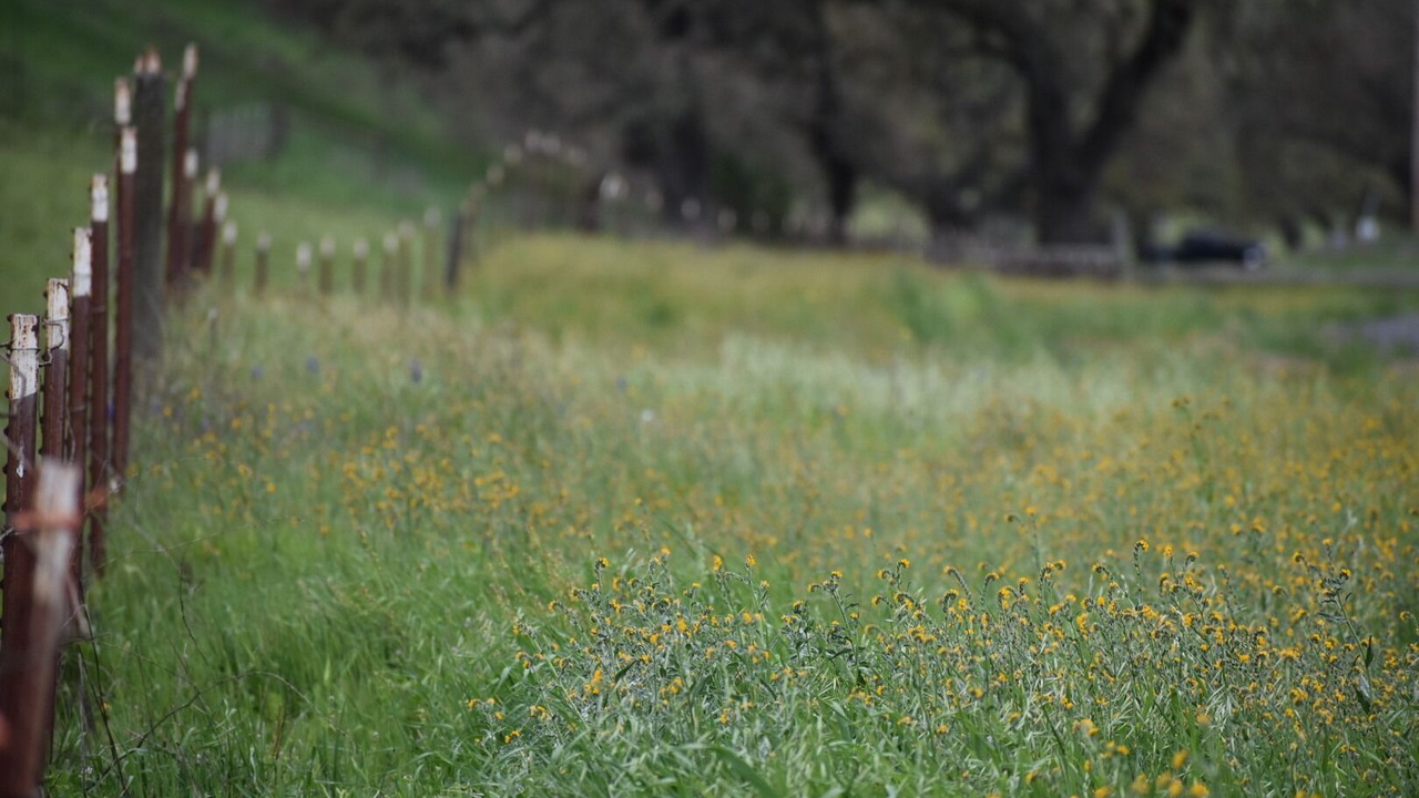 Photo of Outdoor in Santa Ynez