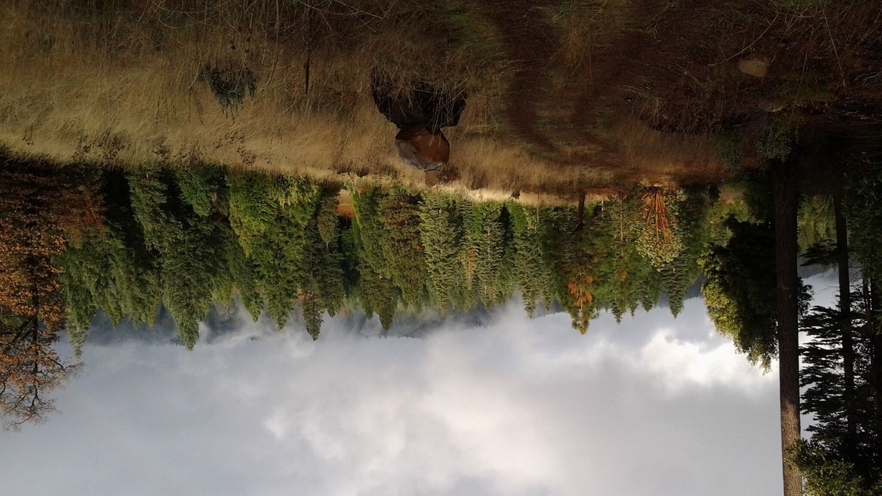 Photo of Others in Nevada City