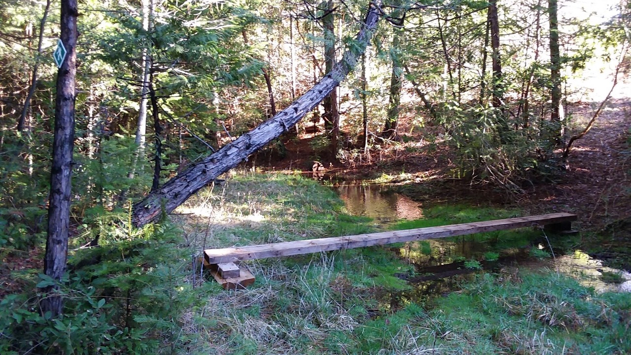 Photo of Outdoor in Nevada City