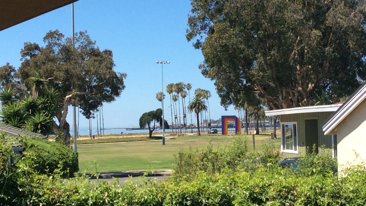 Photo of Others in East Beach