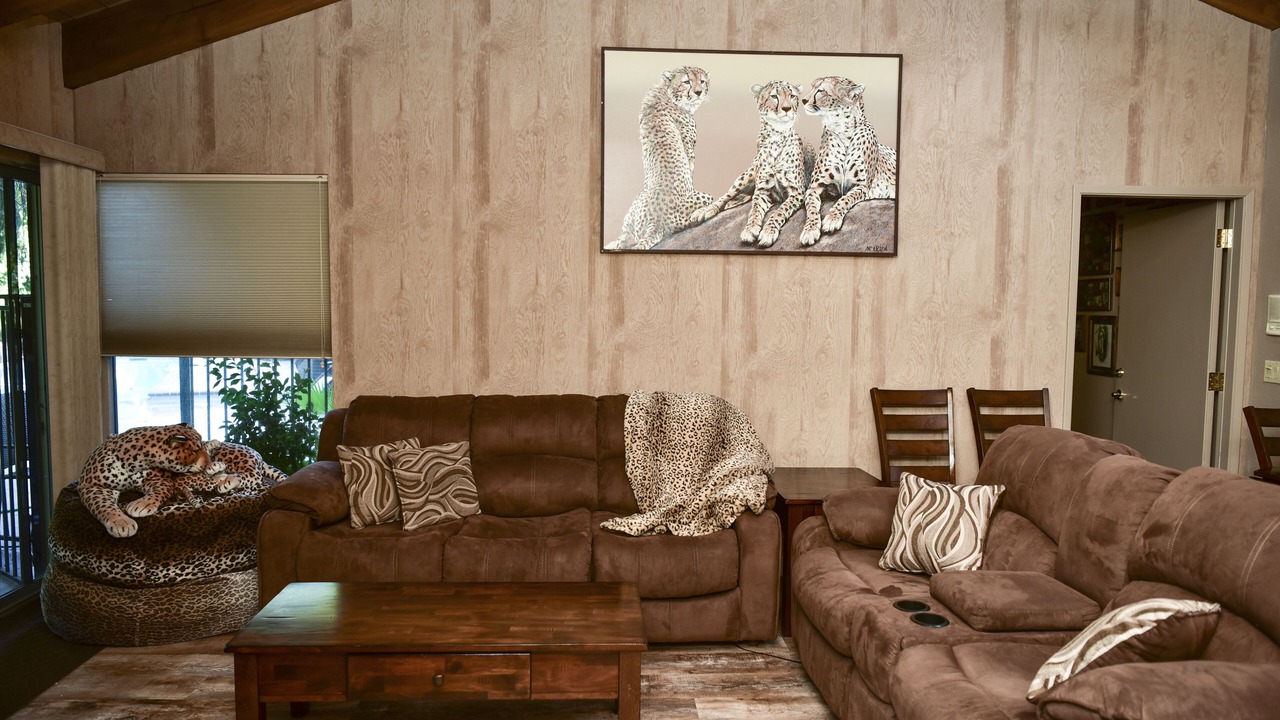 Photo of Livingroom in Mount Helix