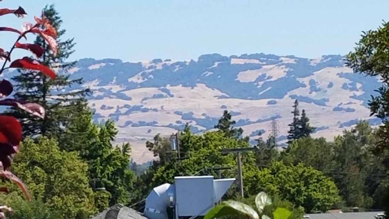 Photo of Outdoor in Petaluma