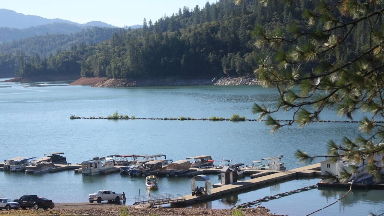 Photo of Others in Lakehead