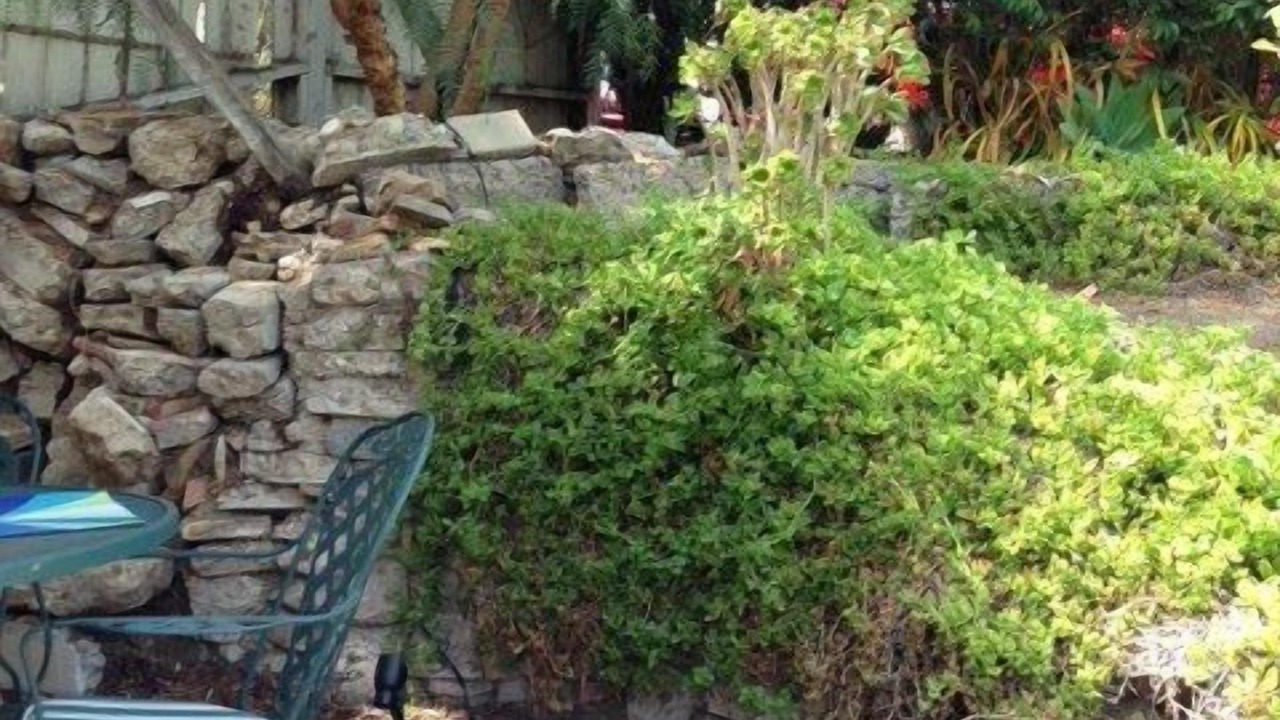 Photo of Outdoor in Sunset Junction