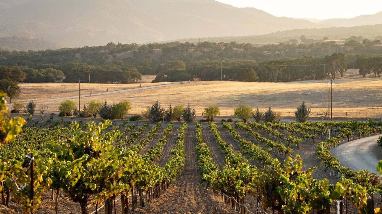 Photo of Others in Paso Robles