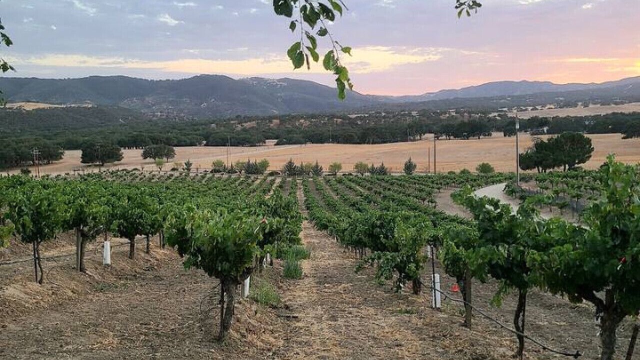 Photo of Others in Paso Robles
