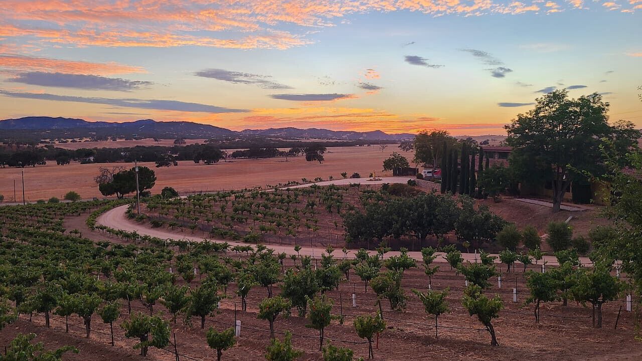 Photo of Others in Paso Robles