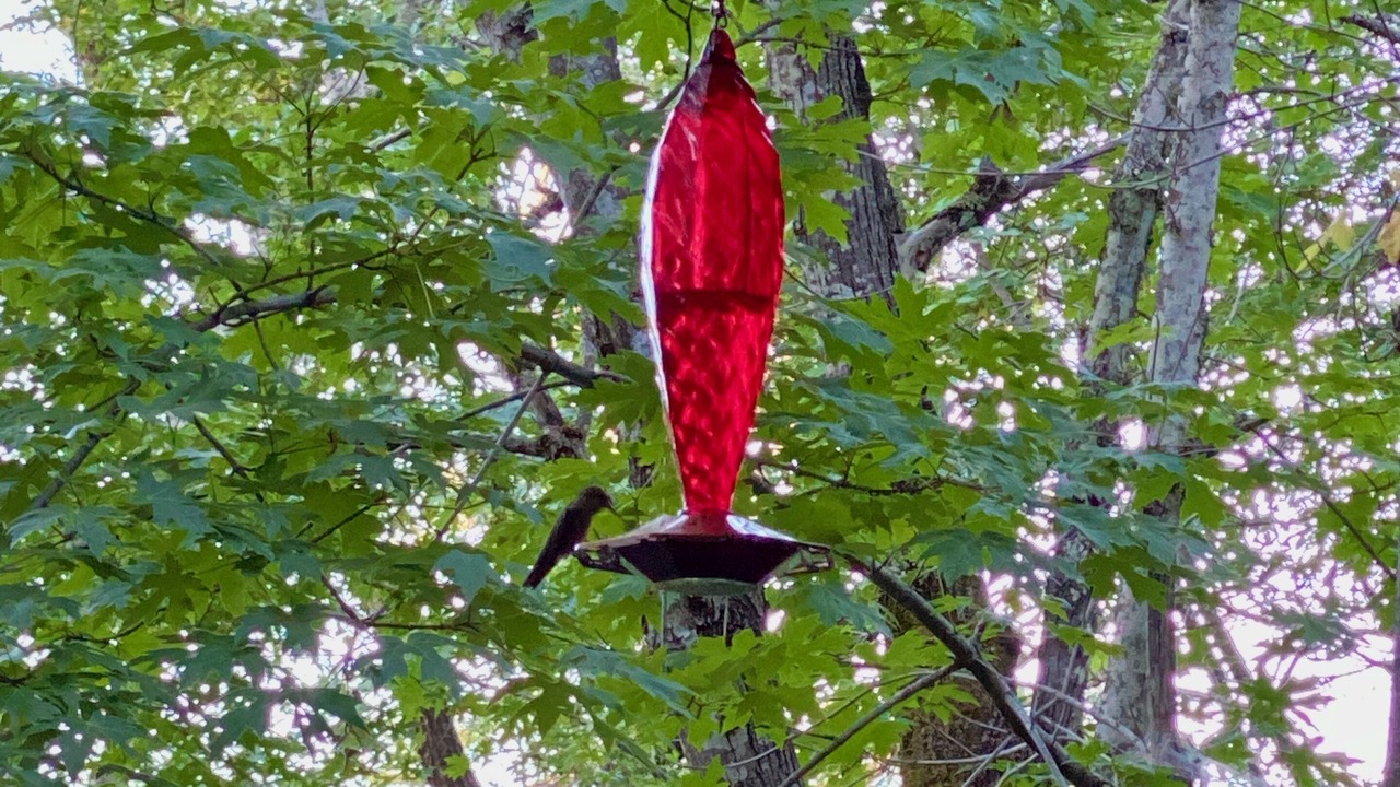 Photo of Others in Glen Ellen
