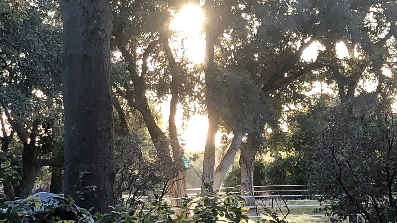 Photo of Others in Warner Springs