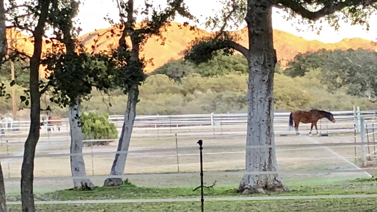 Photo of Others in Warner Springs