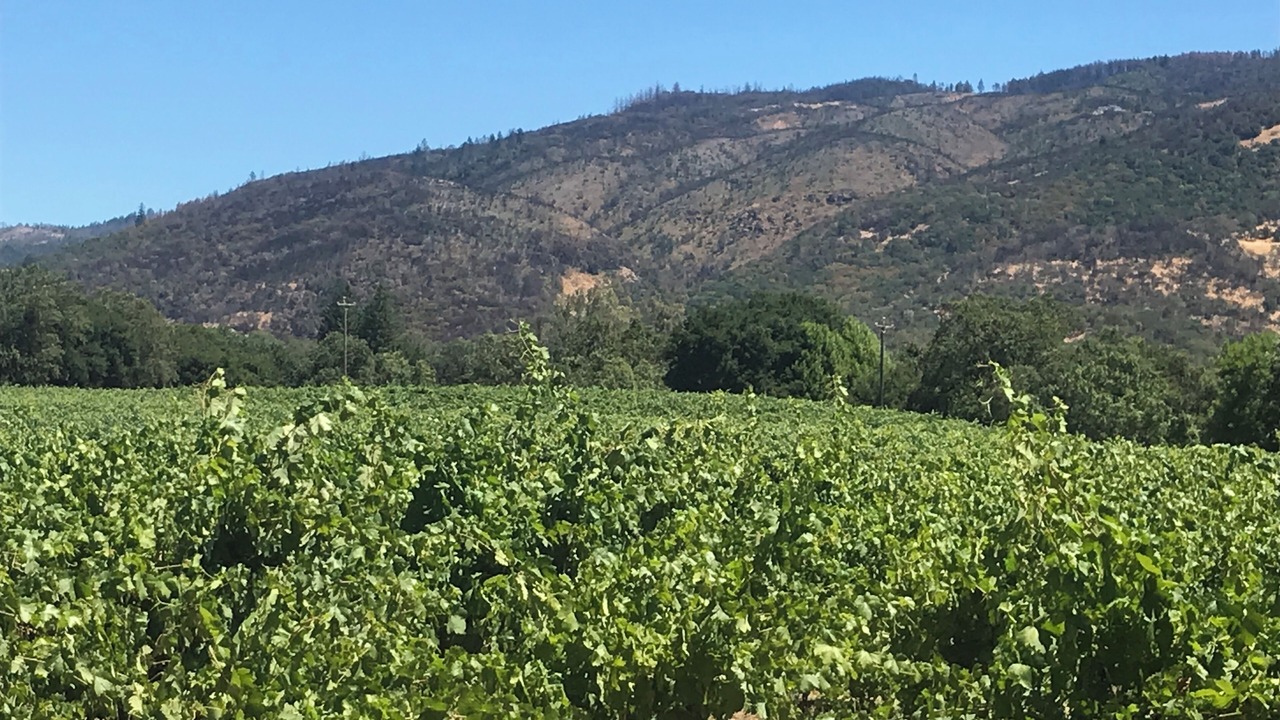 Photo of Outdoor in Sonoma
