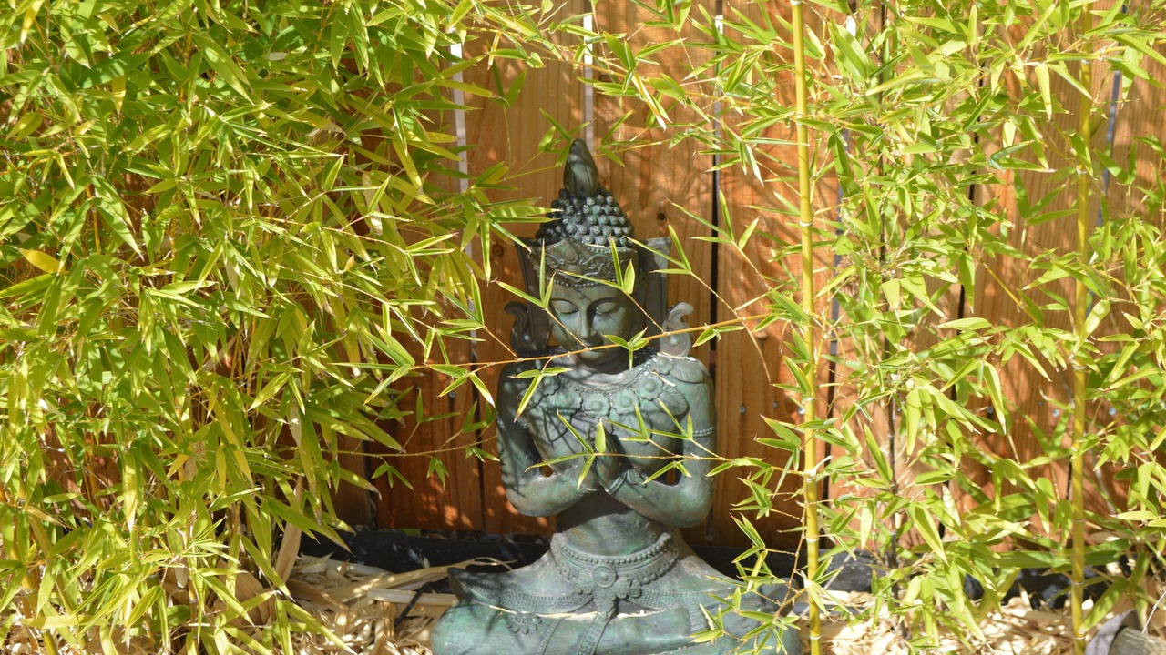 Photo of Outdoor in Sonoma