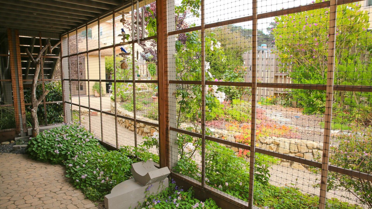 Photo of Outdoor in Marine Terrace