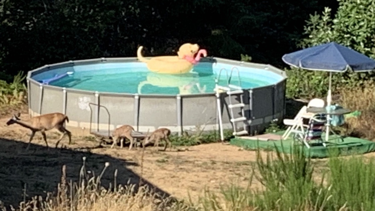Photo of Outdoor in Blue Lake