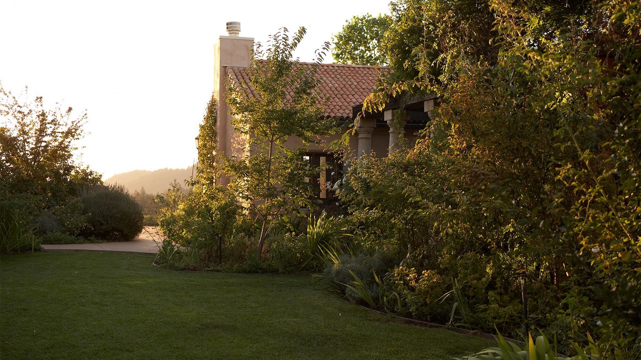 Photo of Others in St. Helena
