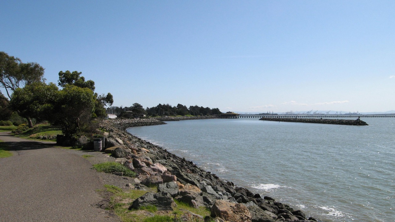 Photo of Others in Northwest Berkeley