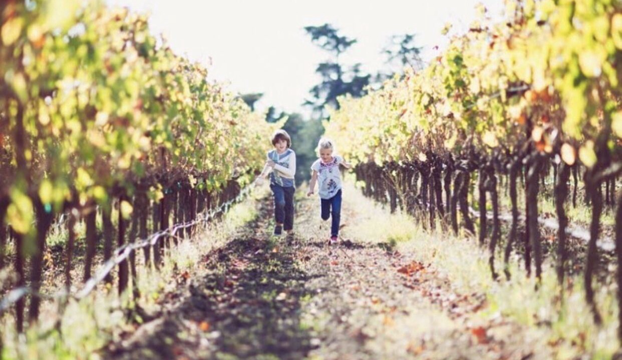 Photo of Outdoor in Sonoma