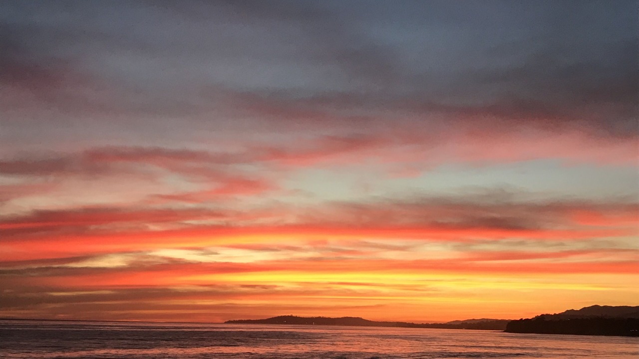 Photo of Others in Carpinteria