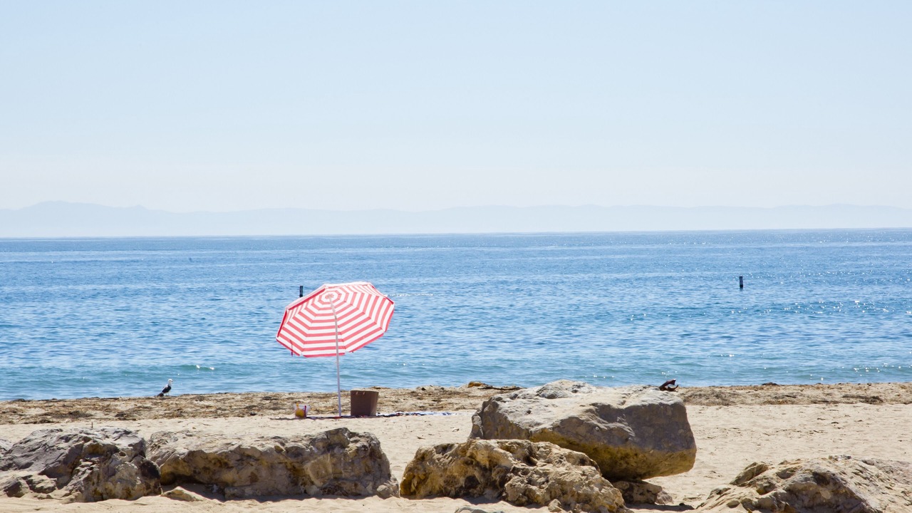 Photo of Others in Carpinteria