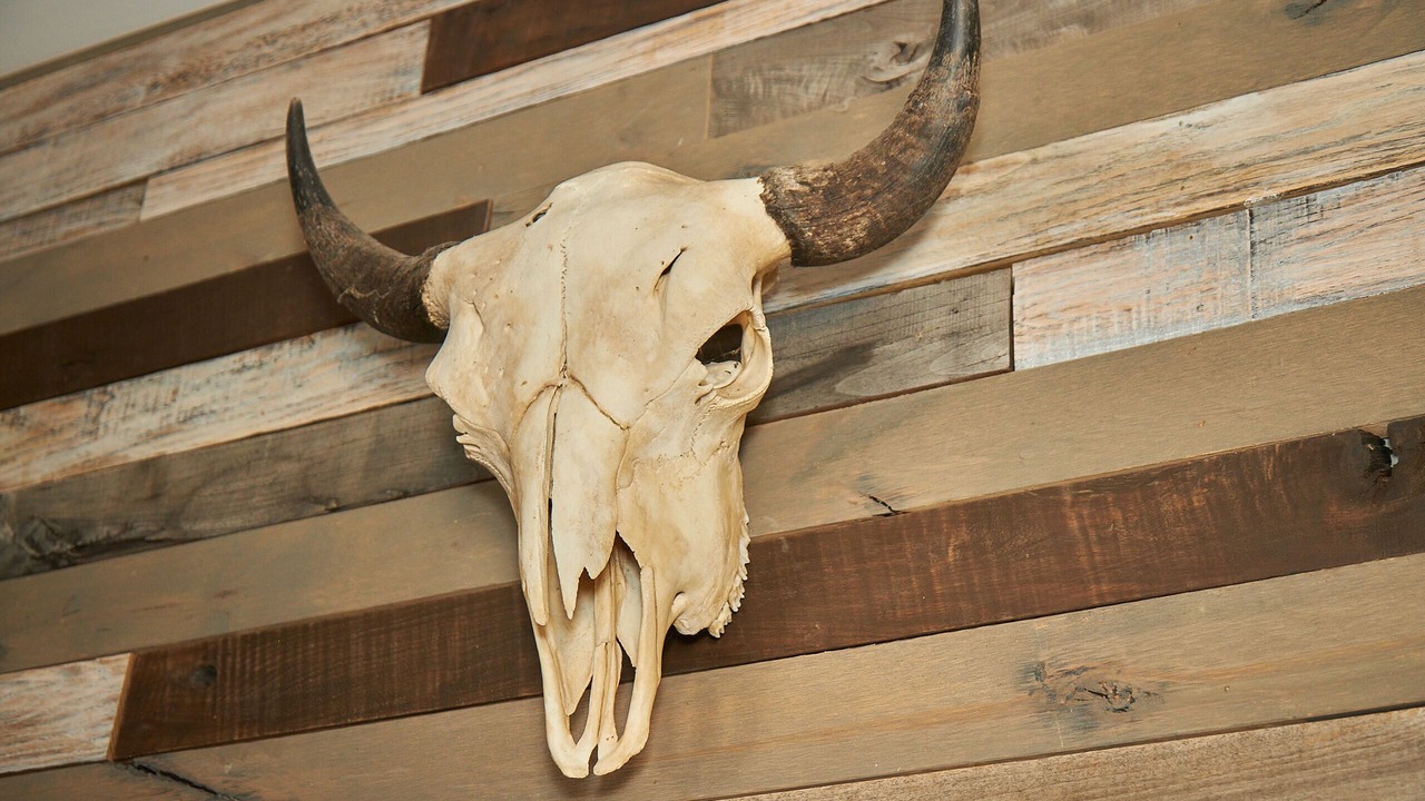 Photo of Others in Pioneertown