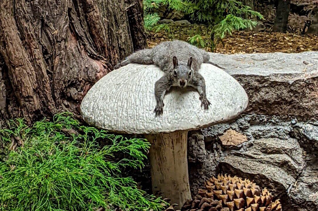 Photo of Others in Lake Arrowhead
