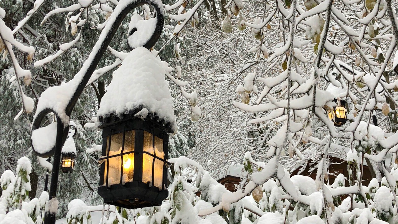 Photo of Outdoor in Lake Arrowhead