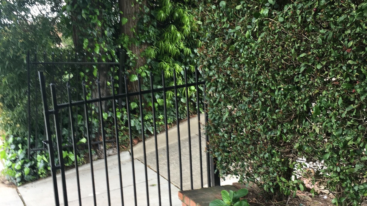 Photo of Others in Burlingame Hills