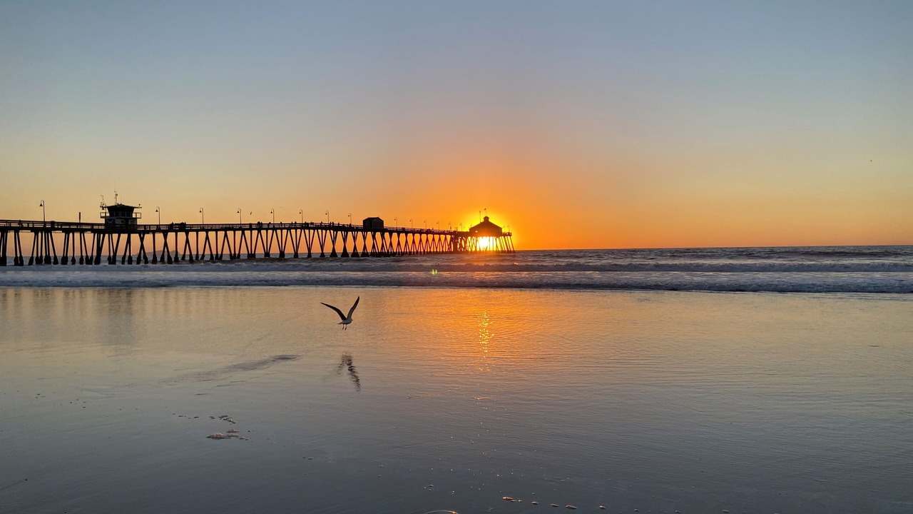 Photo of Others in Imperial Beach